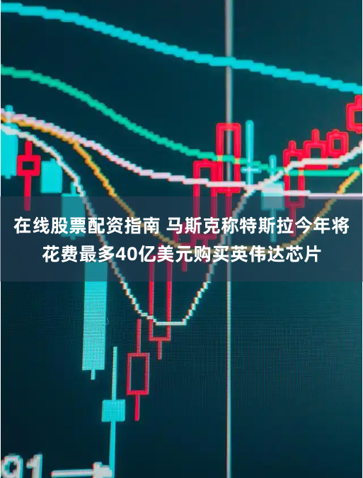 在线股票配资指南 马斯克称特斯拉今年将花费最多40亿美元购买英伟达芯片