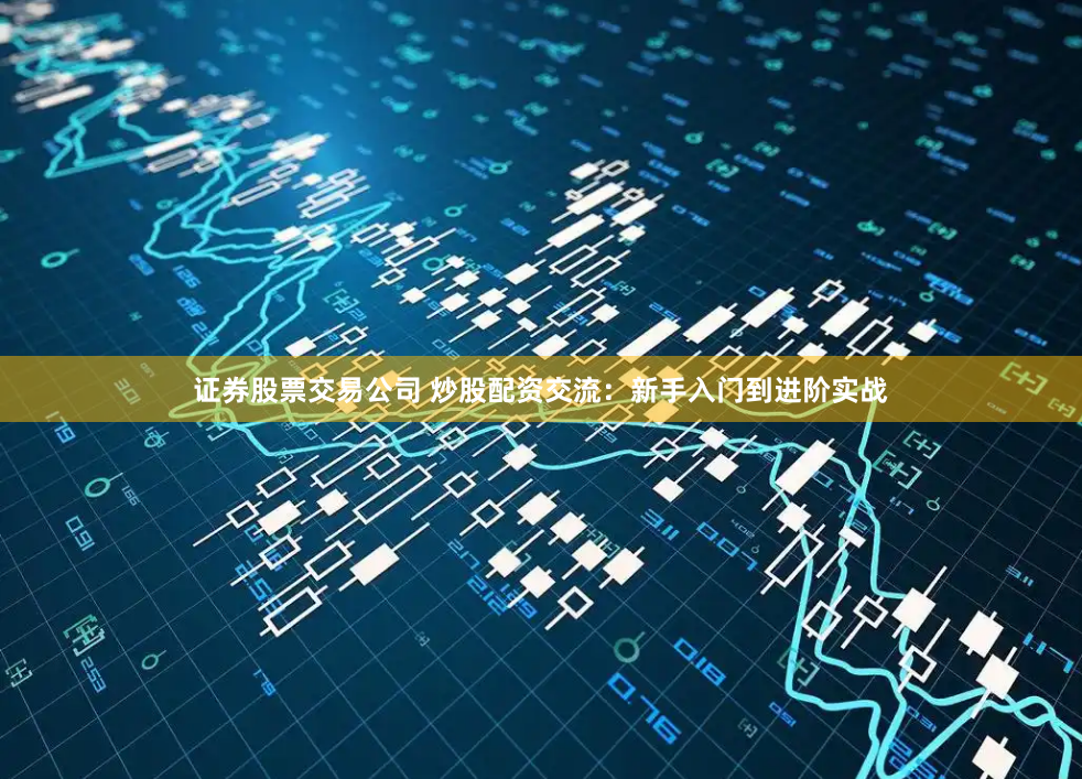 证券股票交易公司 炒股配资交流：新手入门到进阶实战