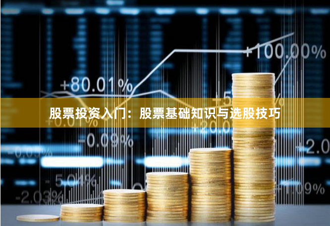 股票投资入门：股票基础知识与选股技巧