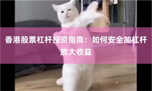 香港股票杠杆投资指南：如何安全加杠杆放大收益