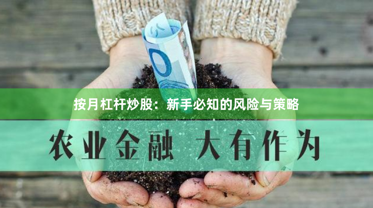 按月杠杆炒股：新手必知的风险与策略
